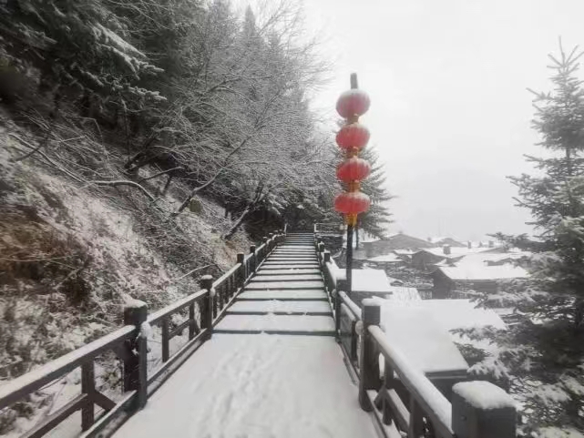 今日小雪丨听说你想看雪了 黑龙江宠你！_fororder_193de0b23d20d0095f395b2278c5df0
