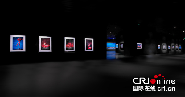 图片默认标题