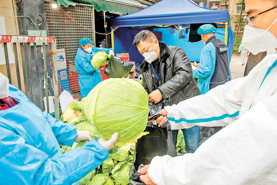 重庆好邻居 万斤白菜送居民