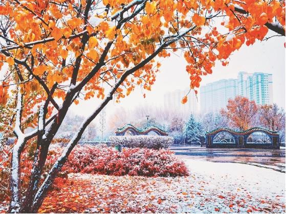 今日小雪丨听说你想看雪了 黑龙江宠你！_fororder_97b6287b4aa2e33b66e33bedd4075e4