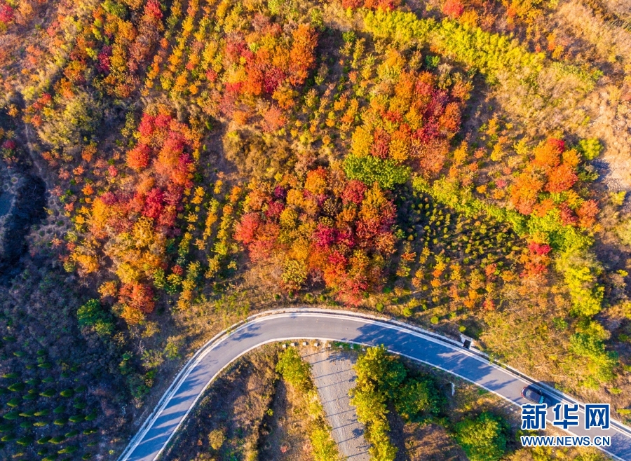河北邯郸：昔日工矿废弃地 蝶变“城市后花园”