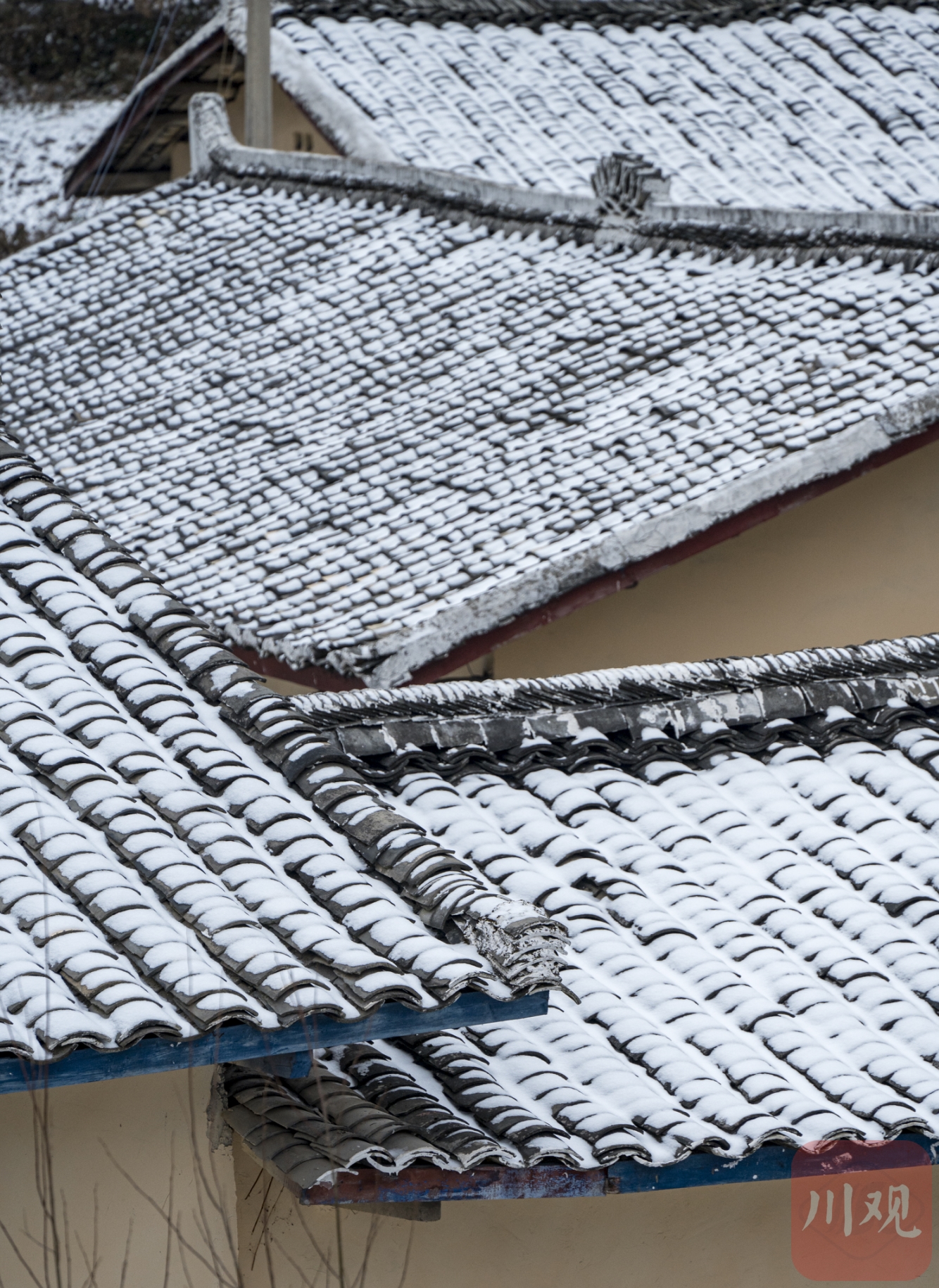 （转载）凉山小相岭迎降雪 满眼北国风光