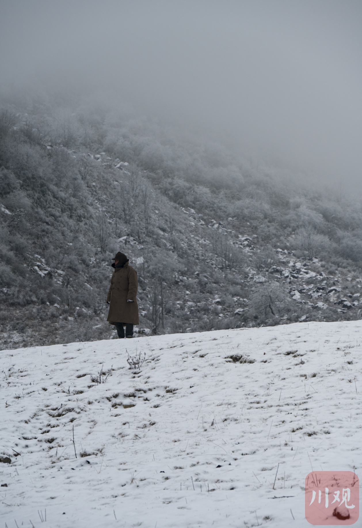 （转载）凉山小相岭迎降雪 满眼北国风光
