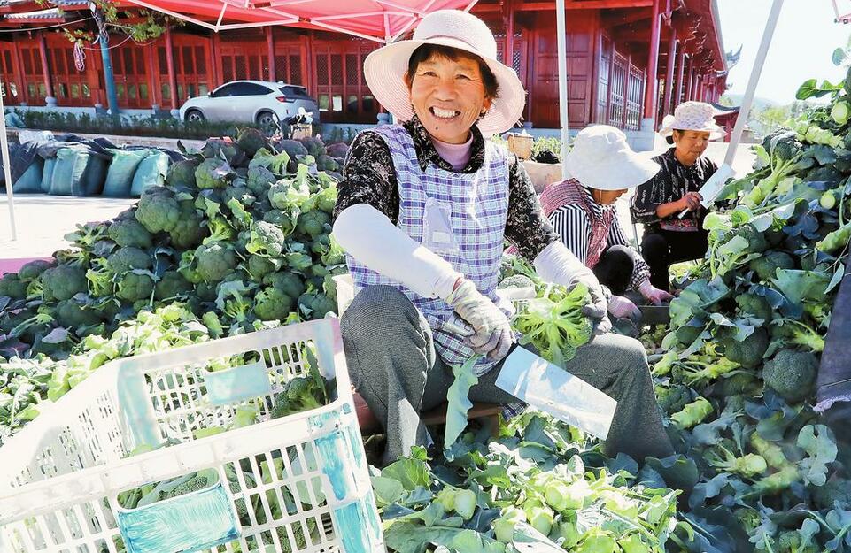 大理剑川：订单生产助力错季无公害蔬菜种植_fororder_e38