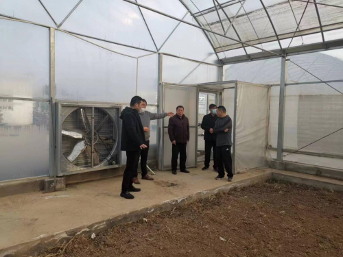 河南罗山：黄土地上翻出“金色”的希望