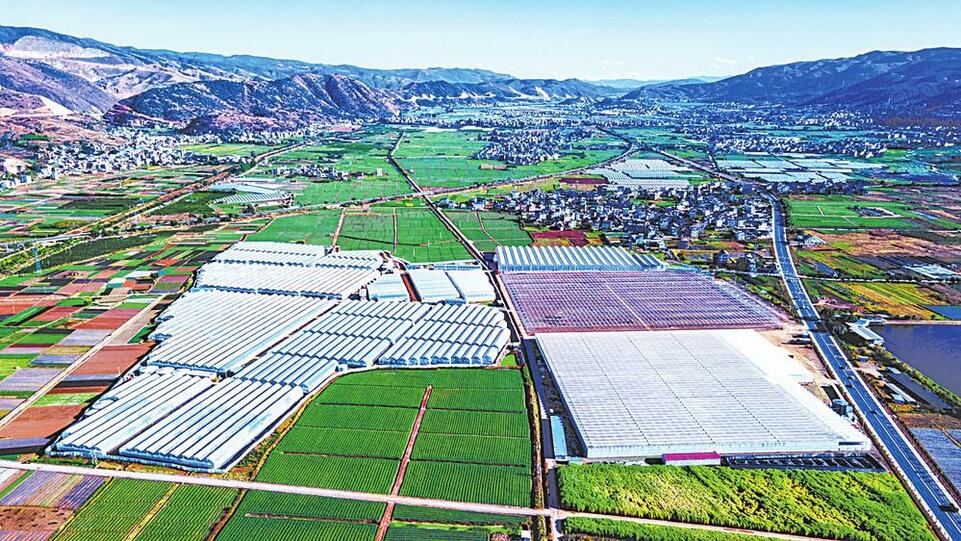 大理弥渡：“盒马村”助力云南农产品拓销升质_fororder_2aa