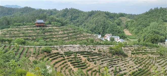 守住绿水青山 换来金山银山_fororder_微信图片_20221226083621