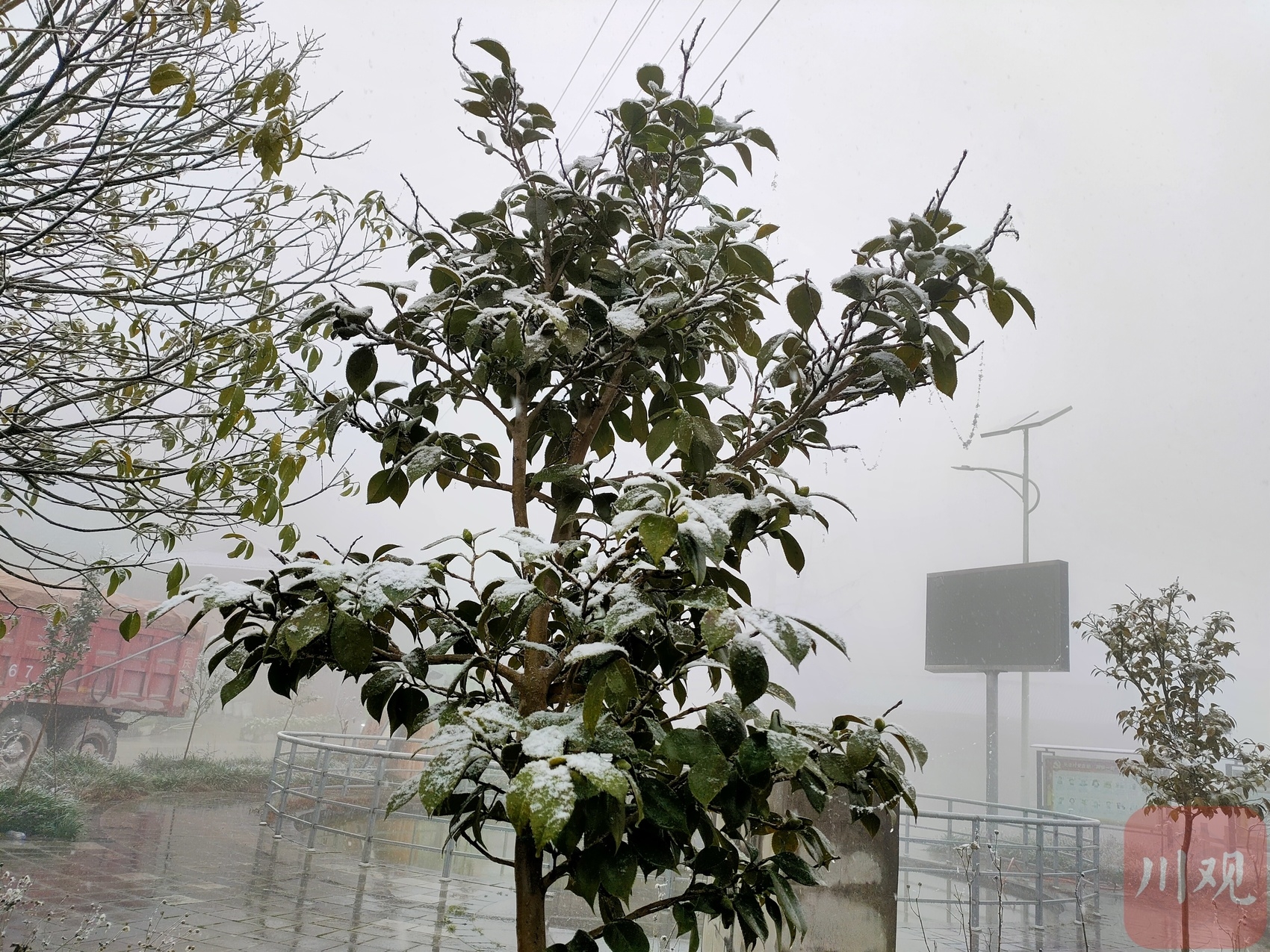 （转载）好冷！绵阳安州千佛镇降下今冬第一场雪