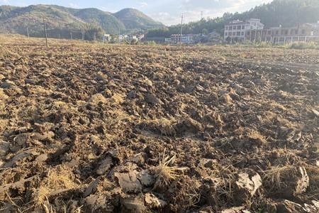 湖南耒阳：“深翻耕+稻草还田”掀起烟田“冬翻备耕”热潮
