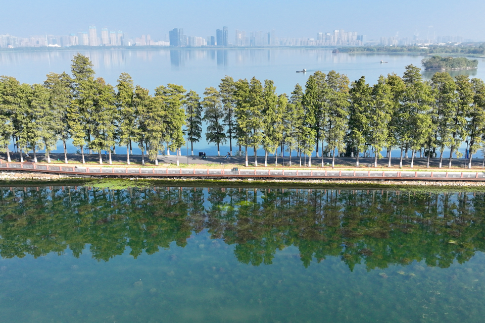 抓住时间窗口，推动经济进一步回稳向上——11月份全国各地经济社会发展扫描