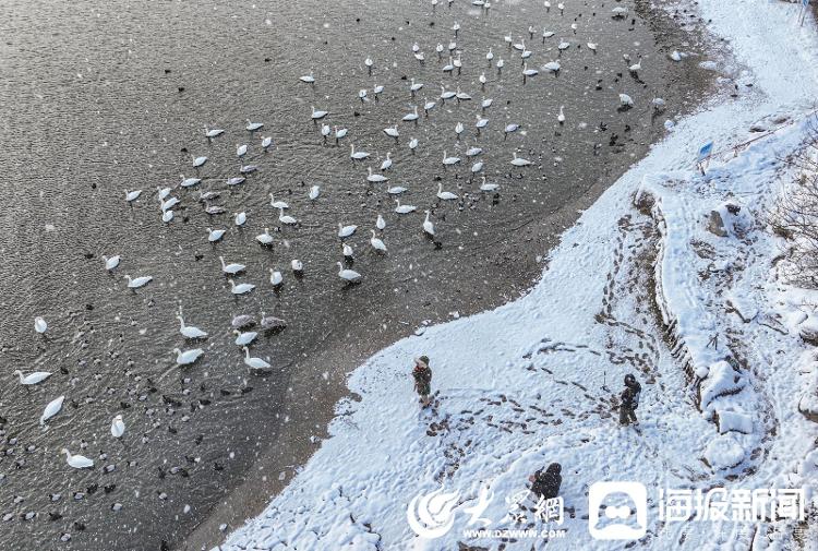 山东荣成：冬日雪景 美如仙境
