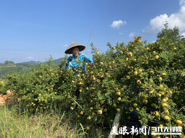 都匀市墨冲镇：贯彻新发展理念 推进高质量发展未来可期
