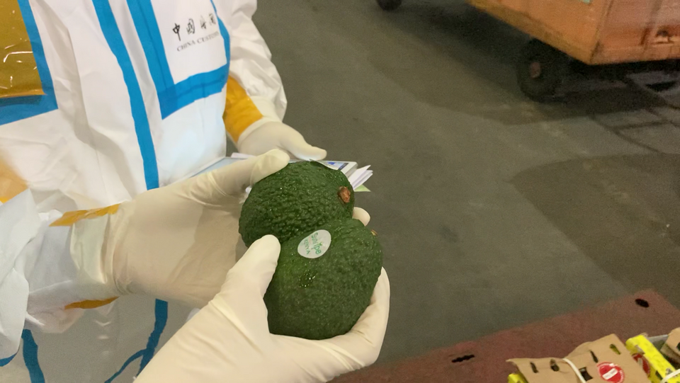 “非”说不可2022丨中非友谊看得见 合作成果摸得着