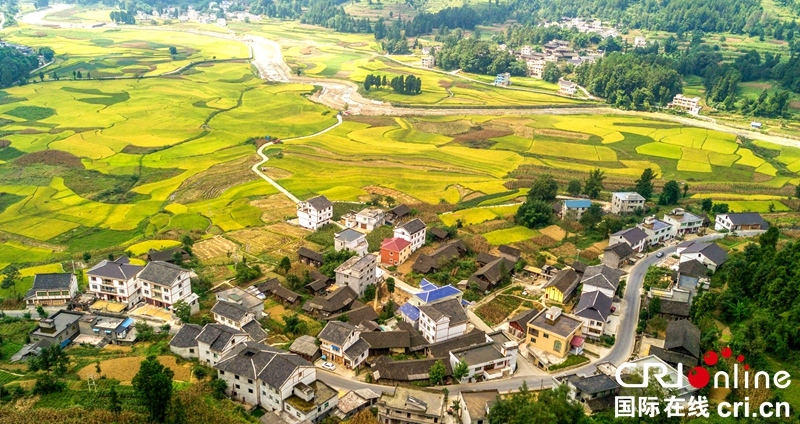 贵州务川：秋日大地美如画（组图）