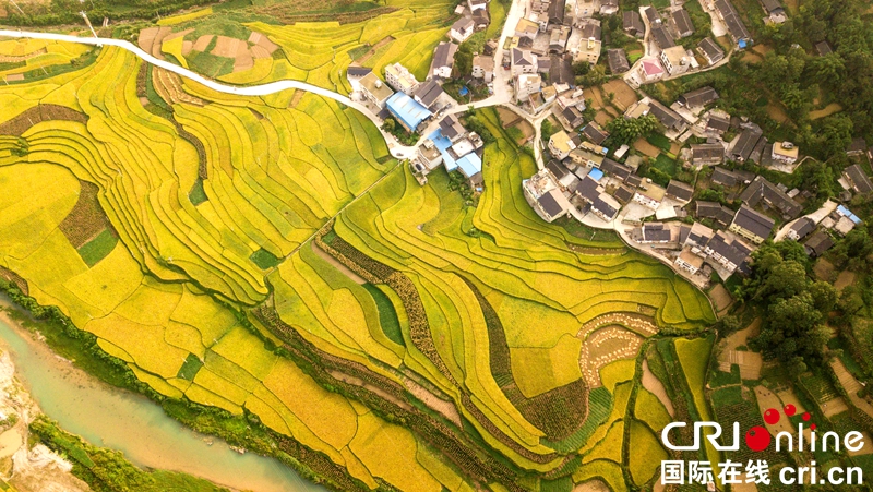 贵州务川：秋日大地美如画（组图）