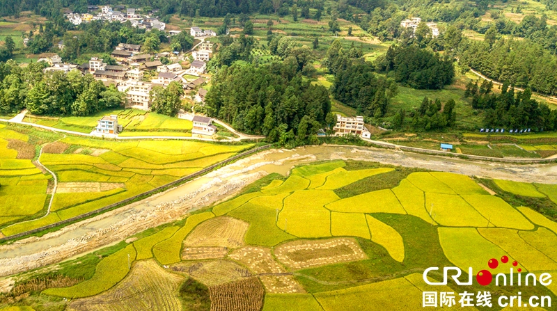 贵州务川：秋日大地美如画（组图）