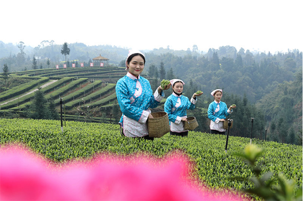 天府旅游名镇大渡口镇：茶酒旅深度融合 绘出乡村旅游新场景_fororder_未标题-4