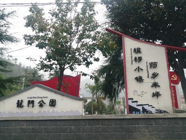 药材好 药才好！河南十大举措发展中药材产业（附图解）