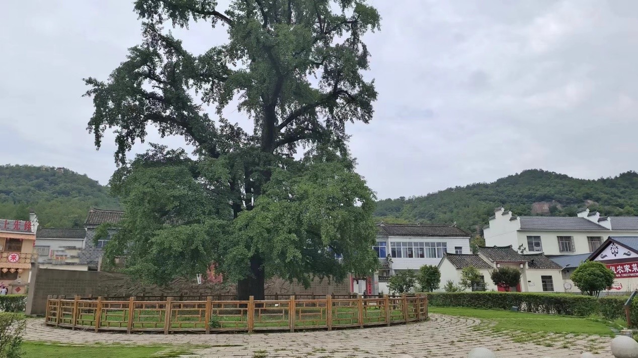 河南罗山：梦圆古村落