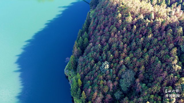 云南屏边：冬日大围山尽显生态之美