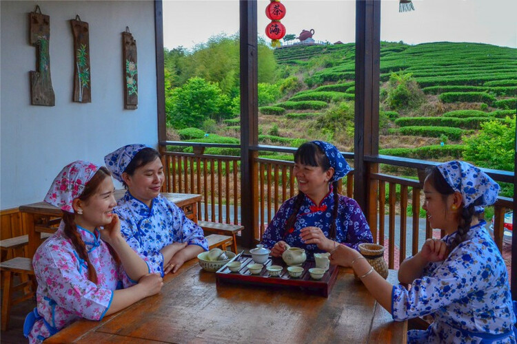 八闽文脉·风物 | 大田美人茶的茶事茶史