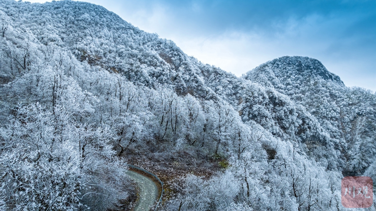 （转载）玉树琼枝裹银装 绵阳千佛山成冰雪仙境