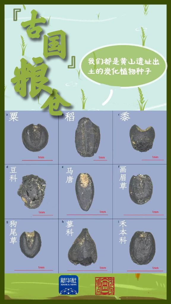 国宝画重点丨中原有粮，稻粟满仓！