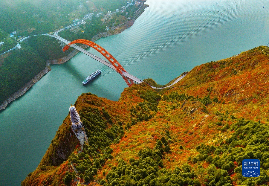 【城市远洋带图】重庆巫山红叶进入最佳观赏期_fororder_1129200128_16707430392881n