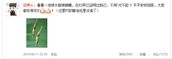 田亮调侃里约泳池辣眼睛：碧池也是没谁了