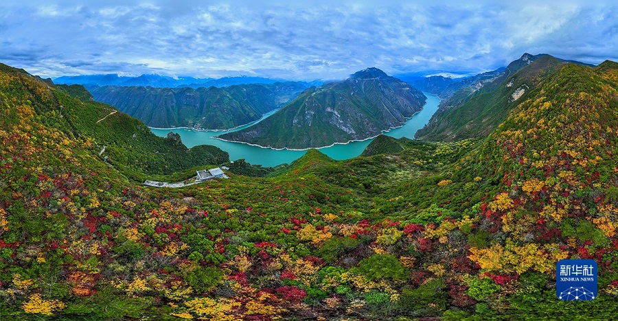 【城市远洋带图】重庆巫山红叶进入最佳观赏期_fororder_1129200128_16707430391361n