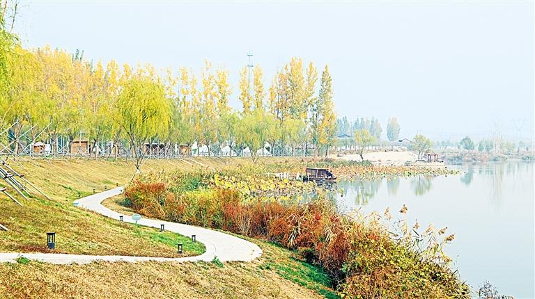 安阳林州市：“五星”支部添彩乡村振兴新画卷_fororder_7b93e515-4fc9-430a-961d-ffefdfbbb5b9