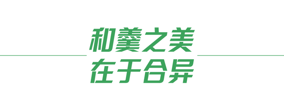 共建美美与共的文明百花园