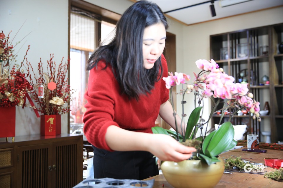 青岛：快过年了，买盆年宵花吧
