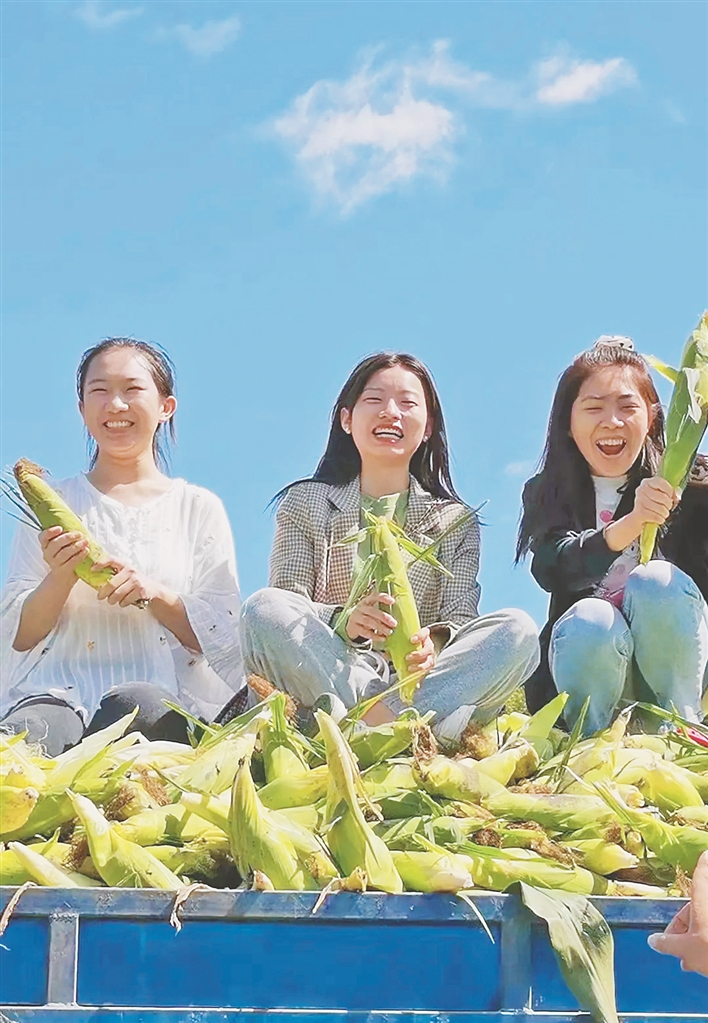 绥化向全面建设现代化强市迈进