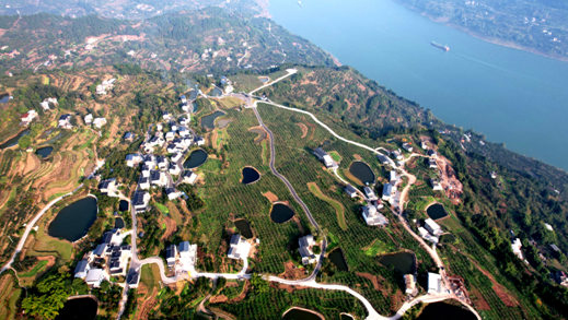 【原创】重庆云阳：建设宜居宜业和美乡村 走农旅融合发展道路_fororder_微信图片_20221219142340
