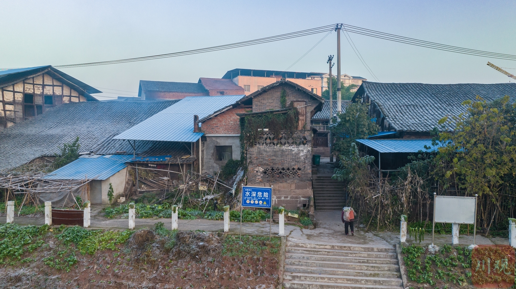 （转载）柚香萦绕 白露为霜 小镇冬日清晨美成了诗