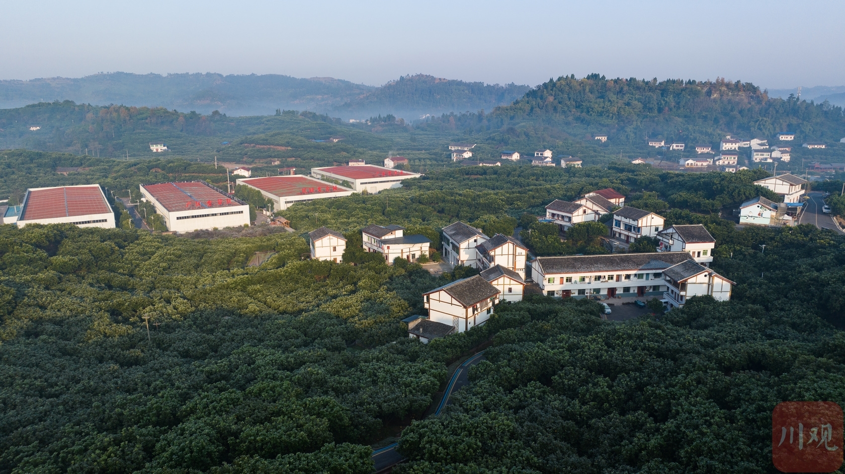 （转载）柚香萦绕 白露为霜 小镇冬日清晨美成了诗