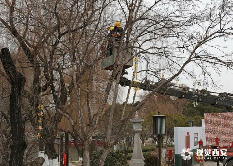 兴庆宫公园布展迎兔年