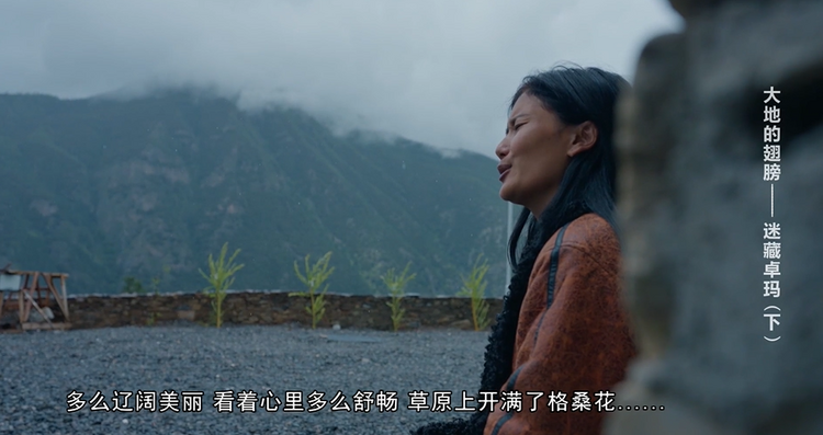 （转载）《大地的翅膀》第二集：迷藏卓玛（下）