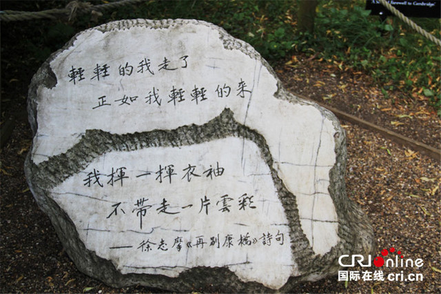 图片默认标题
