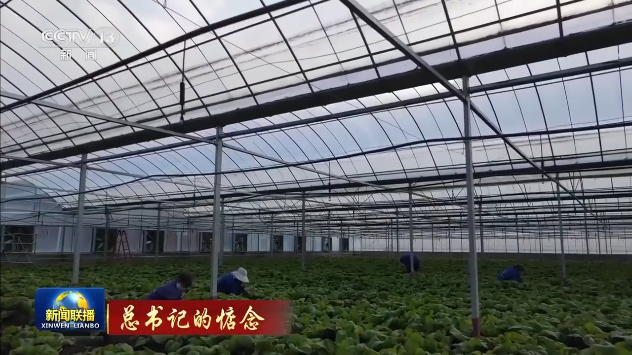 习近平总书记春节前夕视频连线看望慰问基层干部群众在全国各地引起强烈反响