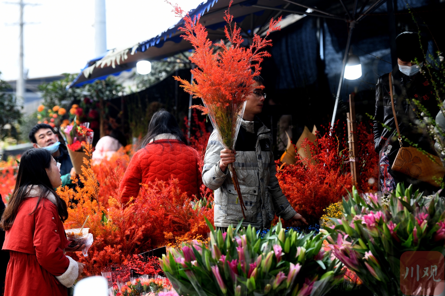 （转载）春节临近 成都年宵花销售火爆