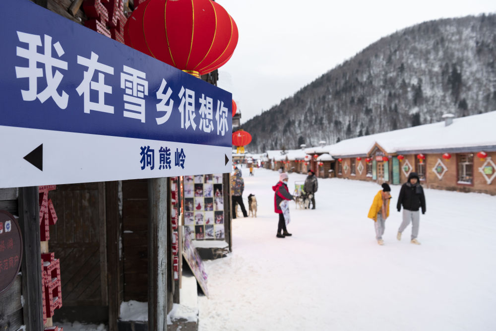 从偏远山沟到中国雪乡的“蝶变”