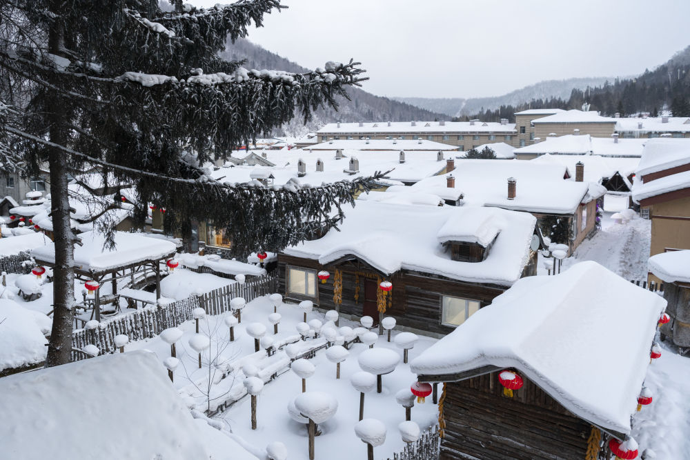 从偏远山沟到中国雪乡的“蝶变”