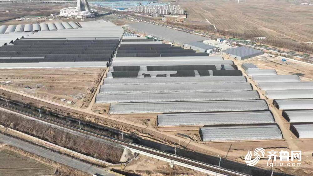 开年即冲刺 勤奋生齐鲁 ！山东重点项目建设不停歇