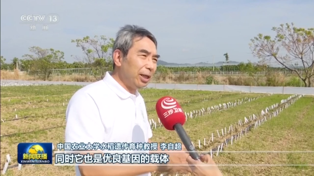 新思想引领新征程丨全方位夯实粮食安全根基