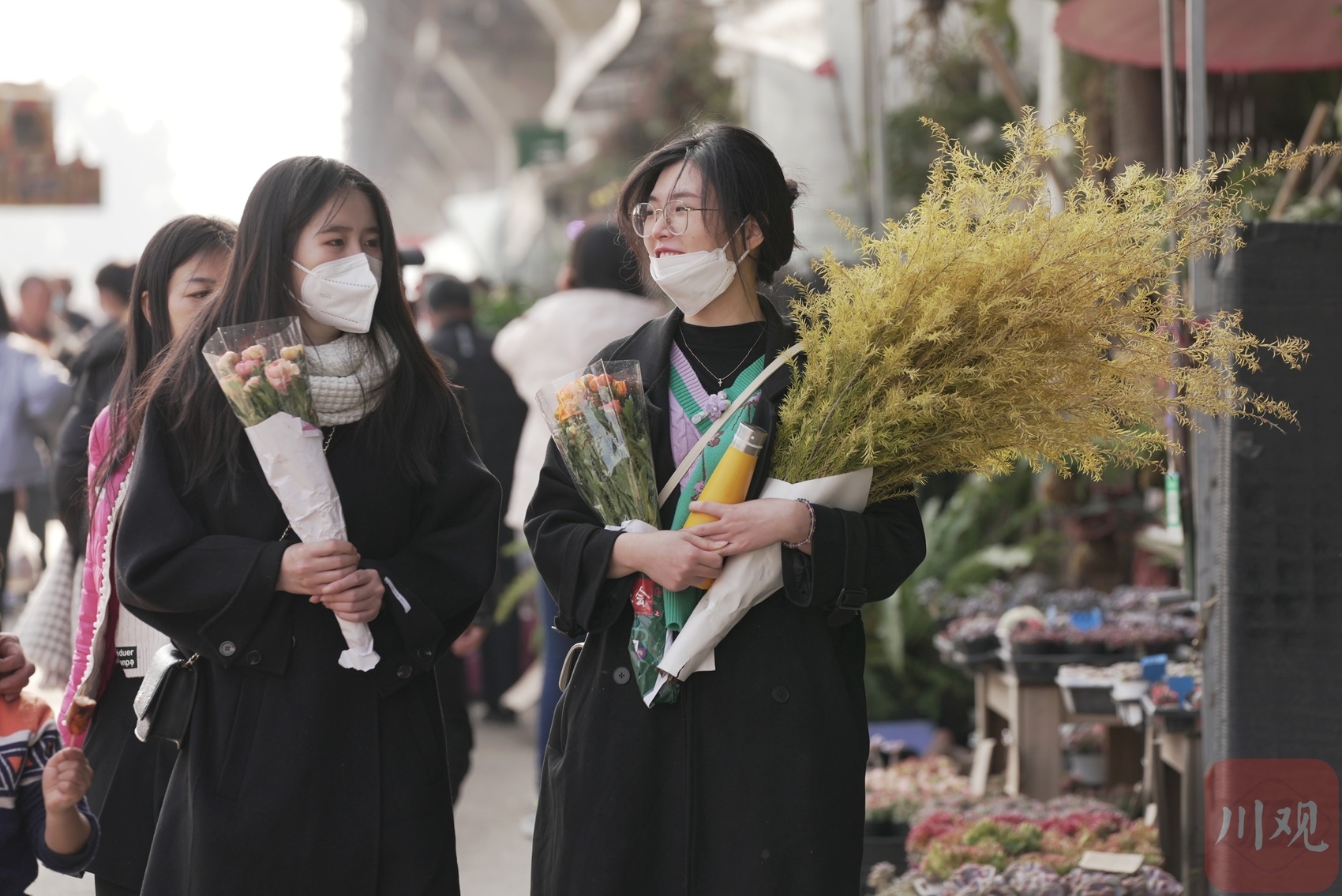（转载）百花争艳闹新春 把不远的春天带回家
