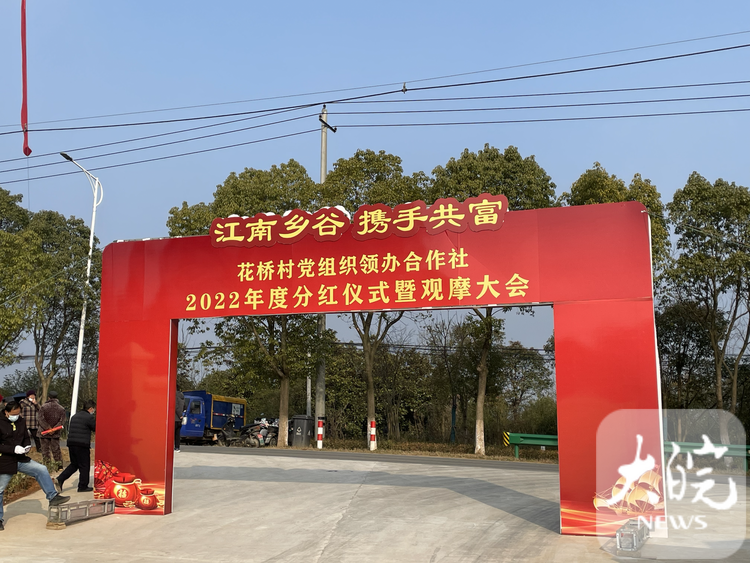 新春走基层｜芜湖市湾沚区：党组织领办合作社为全体持股村民分红