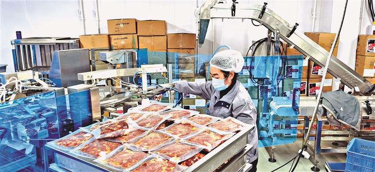 “食”在黑龙江丨“齐函杨佳烤肉”出圈记