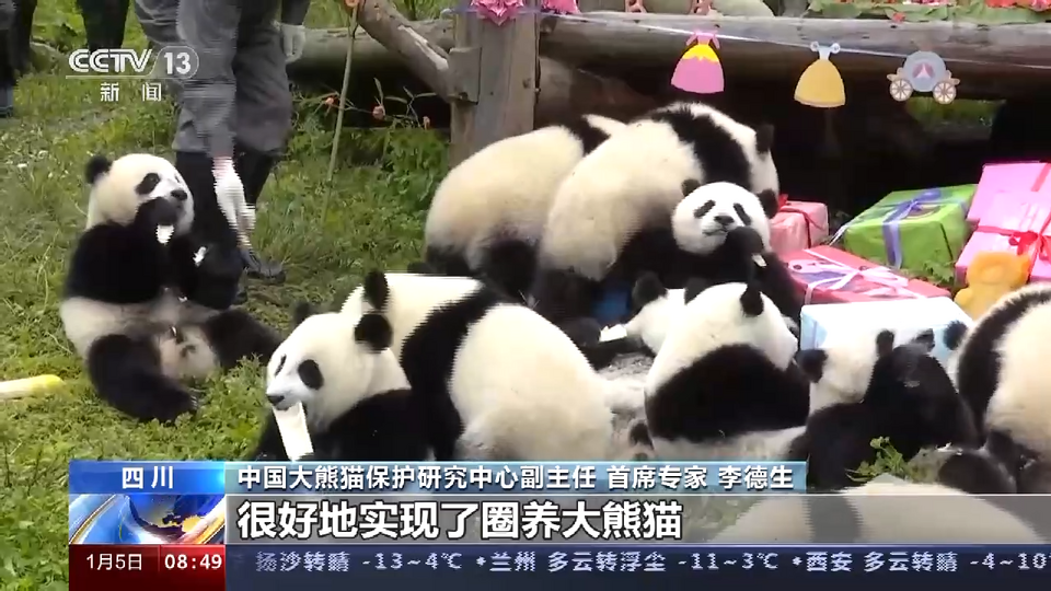 中国大熊猫保护研究中心：为大熊猫国家公园建设提供科技支撑
